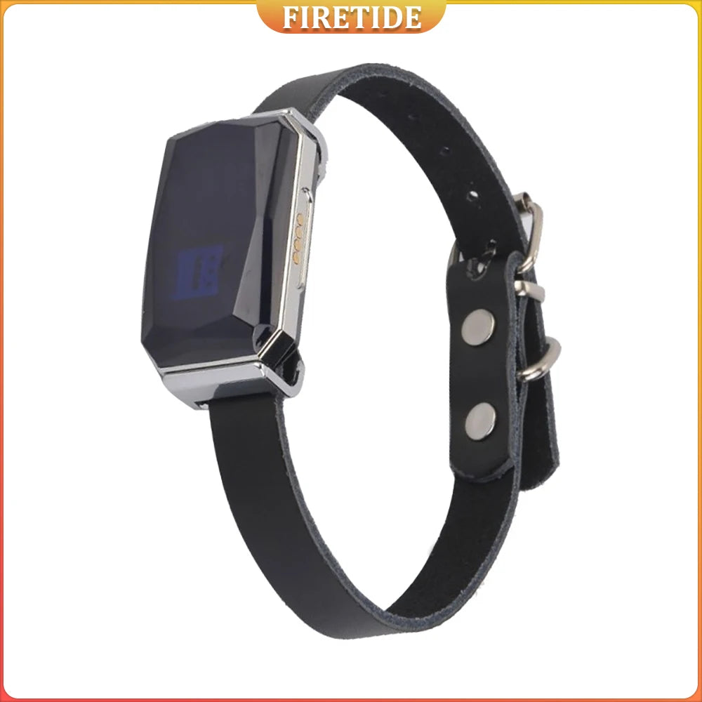 Smart GPS Pet Tracker Collar for Dogs & Cats Real-Time Tracking 5-Meter Precision IP67 Waterproof 10-Day Battery with Geofence F