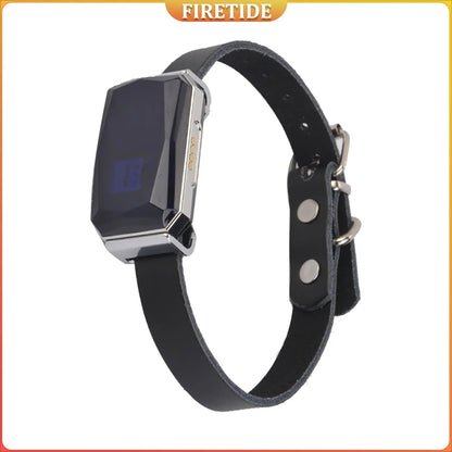 Smart GPS Pet Tracker Collar for Dogs &amp; Cats Real-Time Tracking 5-Meter Precision IP67 Waterproof 10-Day Battery with Geofence F