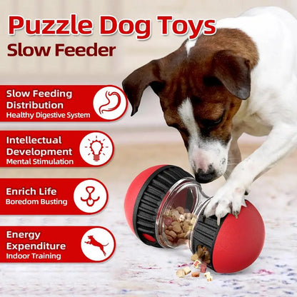 Dog Toy Improve IQ Interactive Puppy Toys For Small Medium Dogs Cat Slow Feeder Ball Labrador Golden Retriever Pet Supplies