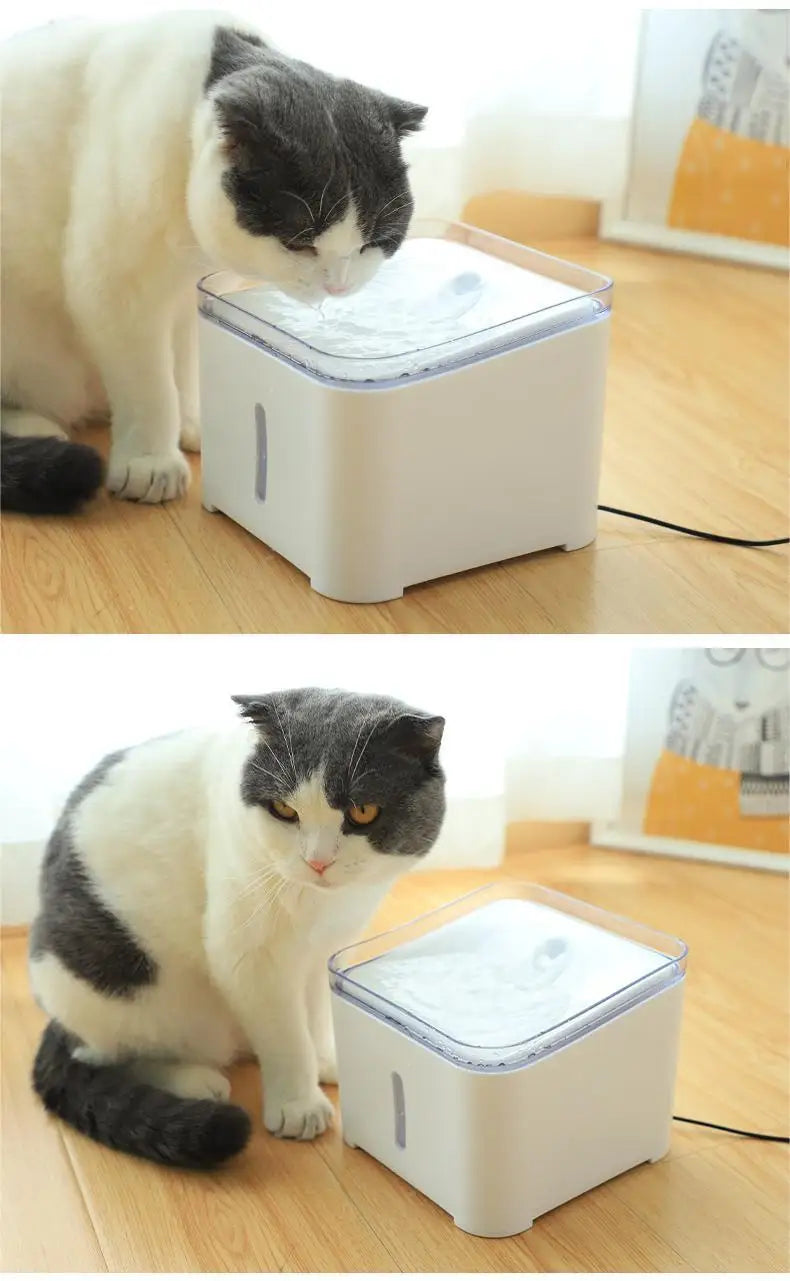 2L Pet Water Fountain with Filter &amp; LED Light - BPA-Free Automatic Cat Dog Drinking Dispenser, Ultra Quiet, Visible Water Level