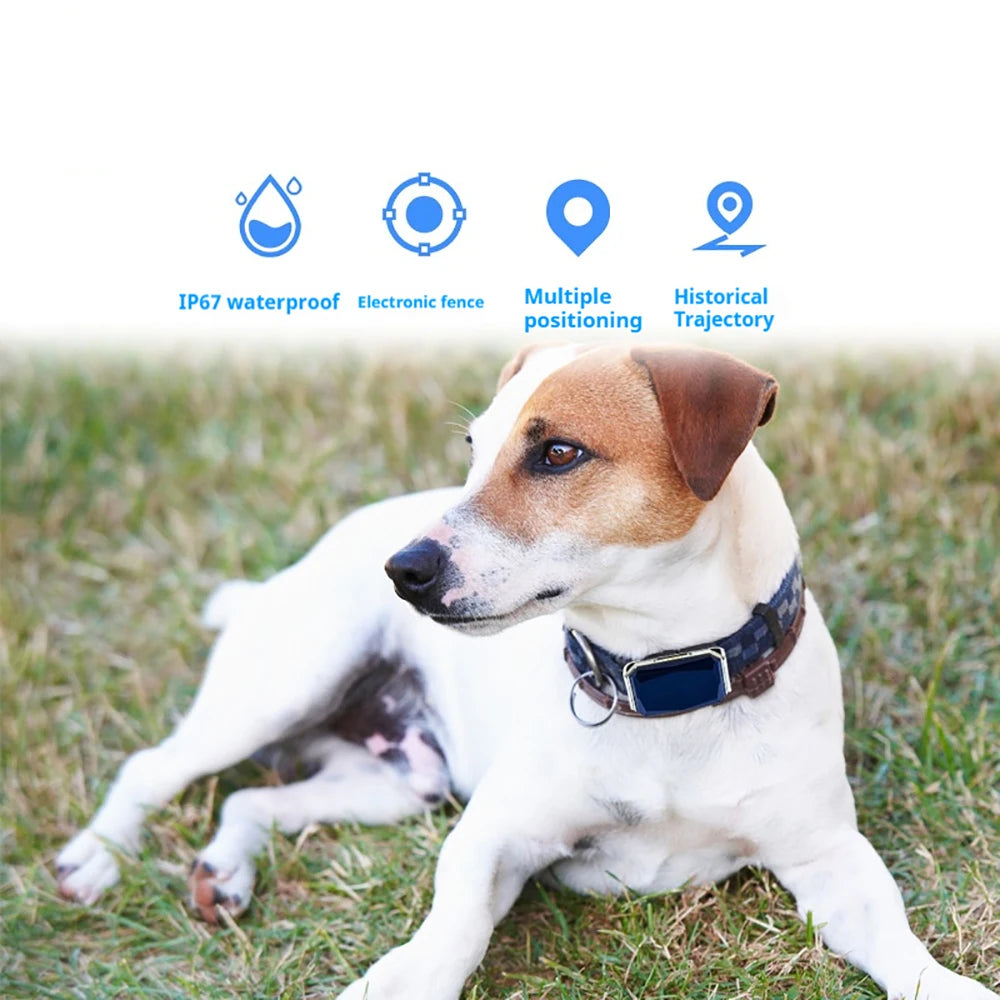 Smart GPS Pet Tracker Collar for Dogs & Cats Real-Time Tracking 5-Meter Precision IP67 Waterproof 10-Day Battery with Geofence F